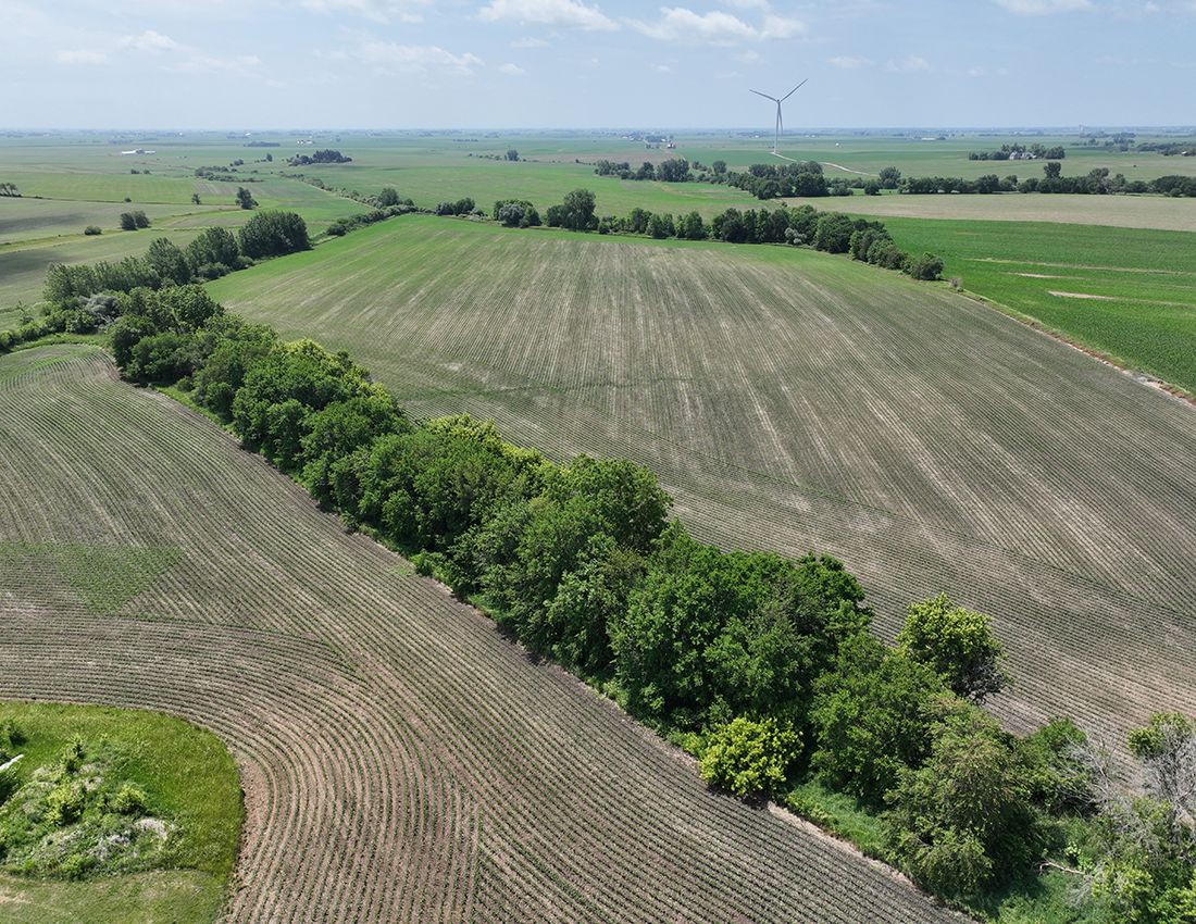 Listing Photo: Paw Paw Farm For Sale